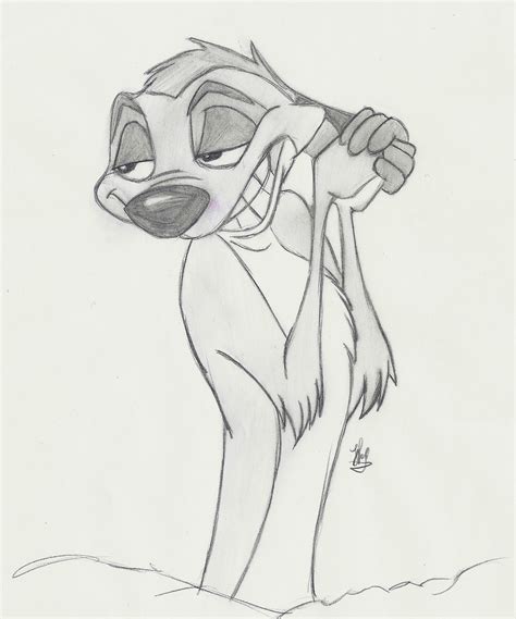 This was so much fun to do! the lion king timon by Jasperhalegirl on DeviantArt