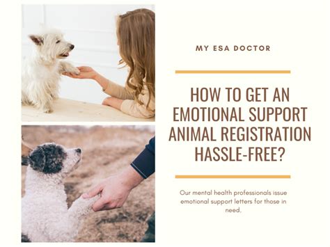 Maybe you would like to learn more about one of these? How To Get An Emotional Support Animal Registration Hassle ...