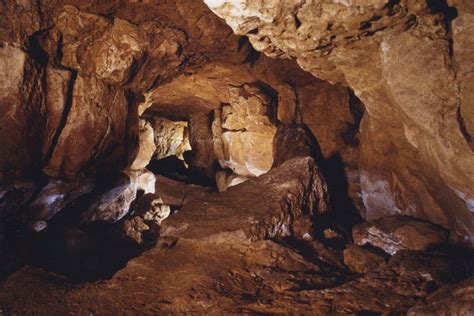 Пещеры Альтамира (Cuevas de Altamira) - Marketplace Торревьеха Тур