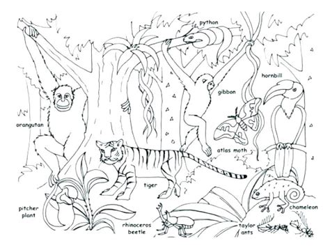 You can use our amazing online tool to color and edit the following jeep coloring pages. African Safari Coloring Pages at GetColorings.com | Free ...