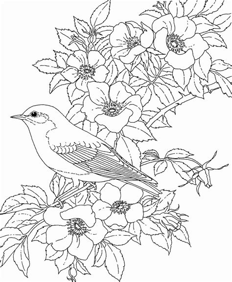 Birds (cartoon) coloring pages for kids to print and color. Hard Coloring Pictures Of Animals in 2020 | Bird coloring ...