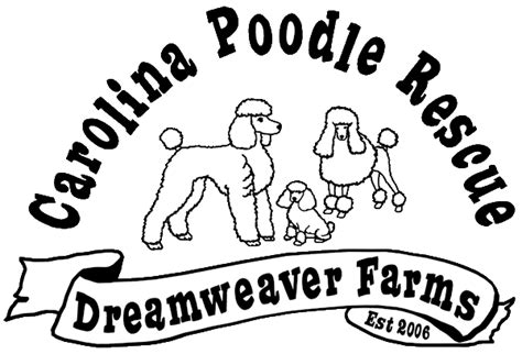 Download 130+ royalty free cpr logo vector images. CPR Logo Transparent. - Carolina Poodle Rescue