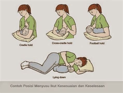 Posisi popular ini sesuai bagi ibu yang bersalin normal, puting tidak tenggelam dan bayi melekap dengan betul. Tips menjayakan penyusuan puting tenggelam / inverted ...