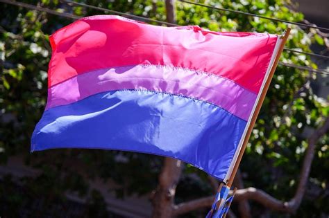 La bandera del orgullo bisexual cuenta con tres colores que representas a la comunidad bisexual dentro del colectivo lgbt. ¿Cuál es el Significado de la bandera Bisexual? | LGBT+ ...