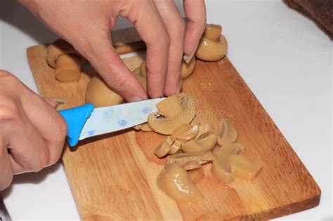 The stems typically aren't eaten. Cutting Champignon Mushroom In Brine Ready To Cook Stock ...