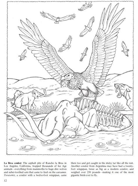 Check spelling or type a new query. Flying Dinosaurs Coloring Book: Feathered Reptiles and ...