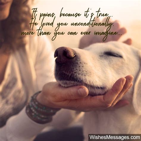 Pet loss at home was founded in 2002 by veterinarian, dr. Sympathy Messages for Pets: Condolence Quotes for Dogs ...