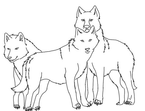 Begin drawing the wolf's face starting with the snout. pack of wolves clipart - Clipground