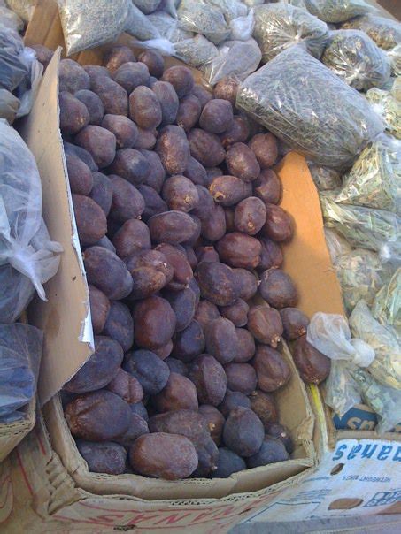 Khasiat buah zuriat ada beberapa manfaat yang terkandung pada buah zuriat. Paling Bagus 18+ Gambar Buah Zuriat Dari Mekah - Gani Gambar