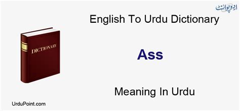 To express or represent something such as an idea, thought, or fact: Ass Meaning In Urdu | Ahmaq احمق | English to Urdu Dictionary