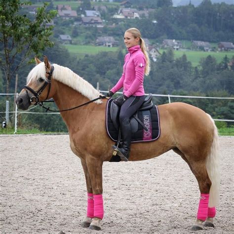 Ebay kleinanzeigen jacke von think pink größe l maße siehe bilder zustand getragen aber einwandfrei dies ist ein. 1️⃣ of 5️⃣ think pink Eskadron Schabracke & Bandagen Jacke ...