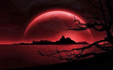 La luna estará 0% iluminada a las 18:59 utc. PRÓXIMA LUNA DE SANGRE, FOTOS | Luna de sangre, Luna roja ...