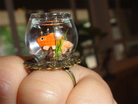 High quality fish bowl gifts and merchandise. To remind me that life is not a fish bowl... (With images ...