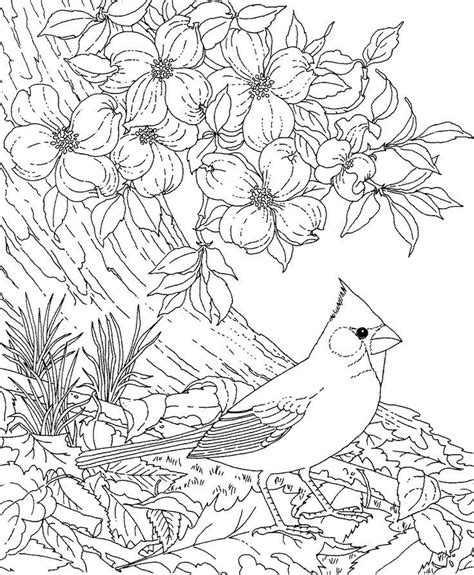 New york state seal coloring page. Image result for nature adult coloring pages | Bird ...