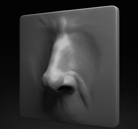 Face Sculpting Bundle | FlippedNormals