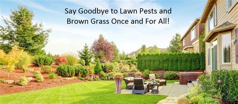 Learn more about how to control them. Lawn Weed and Insect Control Services | Safe Earth Pest ...