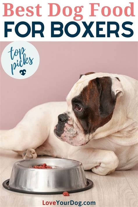 They are descendants of the olde english bulldog and were originally used for hunting large, powerful game such as wild boar, bears, and bison. Best Dog Foods For Boxers: Puppies, Adults & Seniors in ...