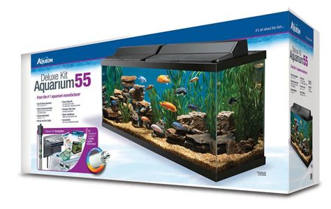 55-Gallon Fish Tank Shape Variations