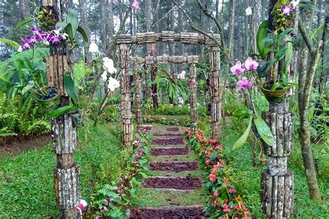 Alpine Garden in Orchid Forest Cikole